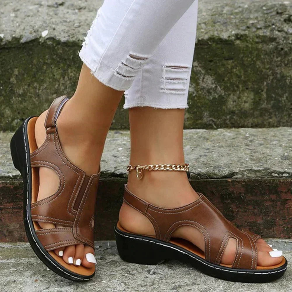 Brown / 12